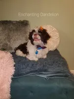 processed/5cece2e9-89b1-4dfc-83be-abd4a978ac29/facility/45cf2e0b-e28a-47dd-b981-c7f5155a1070