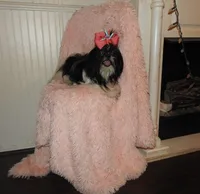 processed/5cece2e9-89b1-4dfc-83be-abd4a978ac29/facility/a98ce9ee-7d10-481a-b6d7-c1672a501192