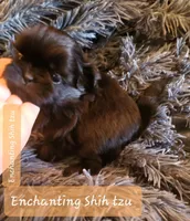 processed/5cece2e9-89b1-4dfc-83be-abd4a978ac29/facility/ddffc3cc-48af-4029-852b-00e5eb9fac9b