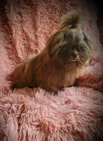 processed/5cece2e9-89b1-4dfc-83be-abd4a978ac29/facility/ec94f794-46c7-45d3-9106-ecd5ad593c50