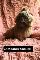 processed/5cece2e9-89b1-4dfc-83be-abd4a978ac29/facility/f95dbb31-f53b-41cb-99a1-4f7243a31223