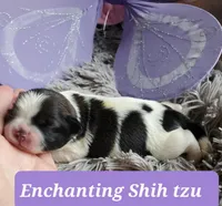 processed/5cece2e9-89b1-4dfc-83be-abd4a978ac29/facility/fb6238e1-1aa7-4437-9789-77575402737c