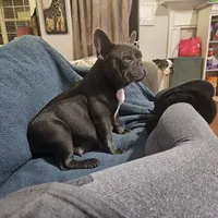 processed/5cedcdd4-dba7-41b9-8073-f7d5a32e3c13/facility/15e978b5-ec8e-41ed-83b0-27c420bc42eb