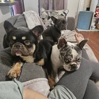 processed/5cedcdd4-dba7-41b9-8073-f7d5a32e3c13/facility/1d48220c-1e8e-48f2-8916-68a6b7b9cecc