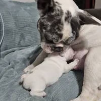 processed/5cedcdd4-dba7-41b9-8073-f7d5a32e3c13/facility/1db7461e-5563-419b-87ee-ee65d451d265