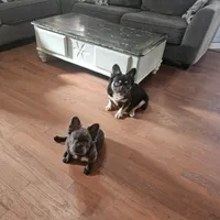 processed/5cedcdd4-dba7-41b9-8073-f7d5a32e3c13/facility/2ab9ecf4-84f1-4135-b4cd-6dd15181d193