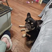 processed/5cedcdd4-dba7-41b9-8073-f7d5a32e3c13/facility/4d57f895-4f59-40ce-97f8-a3b3acedb3ab