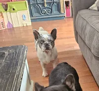 processed/5cedcdd4-dba7-41b9-8073-f7d5a32e3c13/facility/86cc99e8-1824-4cbb-81a2-ee404ff083af