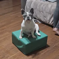 processed/5cedcdd4-dba7-41b9-8073-f7d5a32e3c13/facility/a41d467a-7390-403d-b0e5-7db73550f219