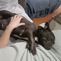 processed/5cedcdd4-dba7-41b9-8073-f7d5a32e3c13/facility/c424ff9e-2abb-457c-b6cd-e88a469b0c56