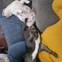 processed/5cedcdd4-dba7-41b9-8073-f7d5a32e3c13/facility/cf215c2a-8276-4853-8ba7-0cc69f539d01