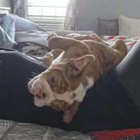 processed/5cedcdd4-dba7-41b9-8073-f7d5a32e3c13/listing/70ea74e6-2845-41f6-b653-9d64543e209f/120f2cb7-799c-4a2f-9b62-ed325f593871