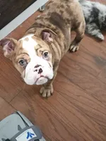 processed/5cedcdd4-dba7-41b9-8073-f7d5a32e3c13/listing/70ea74e6-2845-41f6-b653-9d64543e209f/3de7e61c-e82f-45e6-ae52-235a85c140e6