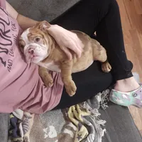 processed/5cedcdd4-dba7-41b9-8073-f7d5a32e3c13/listing/70ea74e6-2845-41f6-b653-9d64543e209f/7e0d723c-aa4f-4ccc-9296-a3999135228e