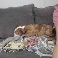 processed/5cedcdd4-dba7-41b9-8073-f7d5a32e3c13/listing/70ea74e6-2845-41f6-b653-9d64543e209f/81365ed7-9adc-48ca-82c6-55ca53ca6035