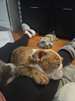 processed/5cedcdd4-dba7-41b9-8073-f7d5a32e3c13/listing/70ea74e6-2845-41f6-b653-9d64543e209f/965fdd17-ee5b-4dcc-8577-2b8da249daea