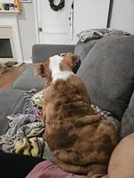 processed/5cedcdd4-dba7-41b9-8073-f7d5a32e3c13/listing/70ea74e6-2845-41f6-b653-9d64543e209f/f0b88747-295c-4326-a6e0-9305a9799709