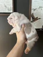 processed/5cee1baf-a1c4-4665-bf3b-b4f2dfb6d88e/listing/0662832f-449f-476f-8996-95a95d17774c/51dab73f-1e7a-4e48-8be7-d16290868fe0