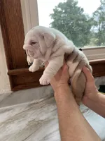 processed/5cee1baf-a1c4-4665-bf3b-b4f2dfb6d88e/listing/0662832f-449f-476f-8996-95a95d17774c/bb0e50d8-c733-4a03-a91d-f6f29aa08a22