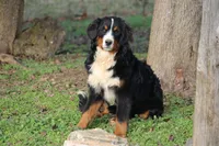 processed/5cee1baf-a1c4-4665-bf3b-b4f2dfb6d88e/listing/5d23135d-d77d-4bc3-9dd5-4903673310ea/76b70723-f278-42e3-9ce2-a3e71508161a