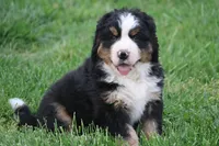 processed/5cee1baf-a1c4-4665-bf3b-b4f2dfb6d88e/listing/9c6bb8d1-a4f8-4feb-998b-c52df47bea5a/1def370d-b185-4115-a7ec-957617692f4e