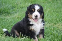 processed/5cee1baf-a1c4-4665-bf3b-b4f2dfb6d88e/listing/9c6bb8d1-a4f8-4feb-998b-c52df47bea5a/3182946e-24ef-4d4a-b97c-1a13f81da099