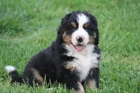 processed/5cee1baf-a1c4-4665-bf3b-b4f2dfb6d88e/listing/aa96459a-e7b0-4238-850c-3b2949ecd928/035efb80-0559-4314-8ea2-b19f529f7f70