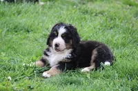 processed/5cee1baf-a1c4-4665-bf3b-b4f2dfb6d88e/listing/aa96459a-e7b0-4238-850c-3b2949ecd928/49a4442d-aa61-46f3-af40-53d6573844a1