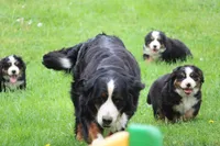 processed/5cee1baf-a1c4-4665-bf3b-b4f2dfb6d88e/listing/aa96459a-e7b0-4238-850c-3b2949ecd928/a695aaf5-a505-4975-aa72-178b5e9a5856