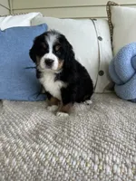 processed/5cee1baf-a1c4-4665-bf3b-b4f2dfb6d88e/listing/b860e2e6-8f2d-44da-bda9-6765e9028c15/2f0b06f7-ec19-484d-9a9d-671a48630d02