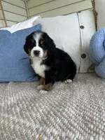 processed/5cee1baf-a1c4-4665-bf3b-b4f2dfb6d88e/listing/b860e2e6-8f2d-44da-bda9-6765e9028c15/650cc6d2-2697-48f0-9e70-67710b3ffdde