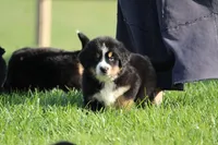 processed/5cee1baf-a1c4-4665-bf3b-b4f2dfb6d88e/listing/b860e2e6-8f2d-44da-bda9-6765e9028c15/7c473de4-7a98-40f1-97ec-a7867bbf5eb4