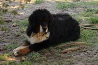 processed/5cee1baf-a1c4-4665-bf3b-b4f2dfb6d88e/listing/b860e2e6-8f2d-44da-bda9-6765e9028c15/88b751c3-e511-477f-ab3f-c164ac6d5a28