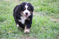 processed/5cee1baf-a1c4-4665-bf3b-b4f2dfb6d88e/listing/c71e5b7c-cb94-42db-870d-461cc3a0dfbb/43bb1a72-83fb-4a6b-962d-5e2bf9e2408f