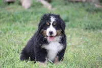 processed/5cee1baf-a1c4-4665-bf3b-b4f2dfb6d88e/listing/c71e5b7c-cb94-42db-870d-461cc3a0dfbb/7e37d7c9-0c0e-42aa-bd2a-1a7b22abfc33