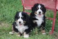 processed/5cee1baf-a1c4-4665-bf3b-b4f2dfb6d88e/listing/c71e5b7c-cb94-42db-870d-461cc3a0dfbb/ef1d6bed-7f22-4202-9059-c1148479b889