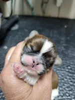 processed/5cee20bd-c2e6-4b18-9dfd-4d665ede69c4/listing/636aaf50-fe40-43e3-b2b8-58807d0c9e05/48608c0f-6914-4dde-98f2-9bc74afd64ba