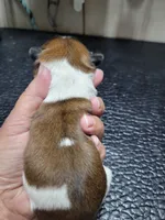 processed/5cee20bd-c2e6-4b18-9dfd-4d665ede69c4/listing/636aaf50-fe40-43e3-b2b8-58807d0c9e05/722f18f5-2bdd-4053-af08-8f6090a0e7f9