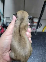 processed/5cee20bd-c2e6-4b18-9dfd-4d665ede69c4/listing/6456af99-b9d8-434f-a409-cbfb297fd6b0/c56af976-166f-4c2f-a13e-6a8a2594524d