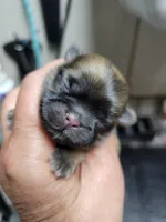 processed/5cee20bd-c2e6-4b18-9dfd-4d665ede69c4/listing/6456af99-b9d8-434f-a409-cbfb297fd6b0/d7458e96-eb6f-4e24-a858-456c8dbeb9d7