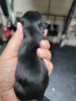 processed/5cee20bd-c2e6-4b18-9dfd-4d665ede69c4/listing/b4748c54-dd47-4217-92d4-8948a5bbb912/3476adf5-eb6d-4a2b-a994-ee9695f39d0c