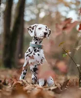 processed/5cf0c5f6-8b0e-44db-a898-a41d20ed62ea/listing/eedaa429-f0f4-473a-aaa3-b49d00fddf25/10cf3592-8a25-44a5-9594-9fc0f42f695a