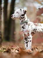 processed/5cf0c5f6-8b0e-44db-a898-a41d20ed62ea/listing/eedaa429-f0f4-473a-aaa3-b49d00fddf25/cbe46ed8-0cb9-4037-8fd6-77988fa30cc6