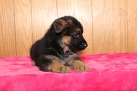 processed/5d05ea36-0e0d-437e-94d2-7b0e84d66d35/listing/aabf4a69-7242-4111-b3ae-d1deb2aaa701/35dc3ea8-2148-4ddc-98f8-d8d9fd68c816