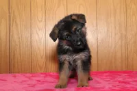 processed/5d05ea36-0e0d-437e-94d2-7b0e84d66d35/listing/aabf4a69-7242-4111-b3ae-d1deb2aaa701/52fad20e-7bd1-4890-bd37-de98cf2e4025