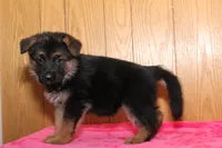 processed/5d05ea36-0e0d-437e-94d2-7b0e84d66d35/listing/aabf4a69-7242-4111-b3ae-d1deb2aaa701/912ae1bf-99ae-498b-ae6f-84e6b1e203f6