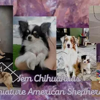 processed/5d07114a-b4c3-46d4-8e5f-54bd20476ea3/facility/b2e99ff9-b177-4178-9e29-ddac8f447319