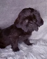 processed/5d111924-ec2e-4594-b583-dc9be382cae0/listing/4a3b99c3-e52c-47a3-b172-d2ac1d3c15be/0334e302-ced6-4a53-ac37-6fdc5d1d47ca