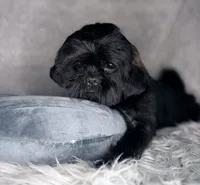 processed/5d111924-ec2e-4594-b583-dc9be382cae0/listing/4a3b99c3-e52c-47a3-b172-d2ac1d3c15be/09793eba-db29-4455-9445-a16c53e1ba84