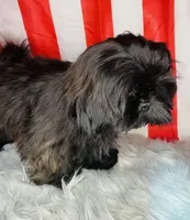 processed/5d111924-ec2e-4594-b583-dc9be382cae0/listing/4a3b99c3-e52c-47a3-b172-d2ac1d3c15be/12418c7e-33a8-464e-abbd-fba4979e6d2f